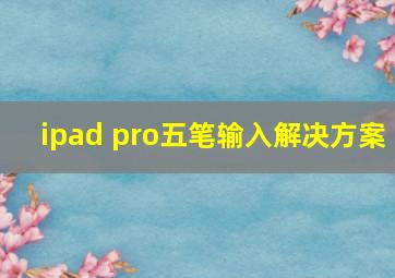 ipad pro五笔输入解决方案